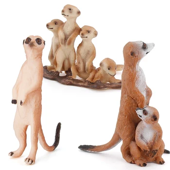 Simüle Yaban Hayatı Hayvan Figürleri Mongoose Aksiyon Figürü Sevimli Minyatür Hayvanlar Modelleri Çocuk çocuk oyuncakları Hediyeler Koleksiyonu